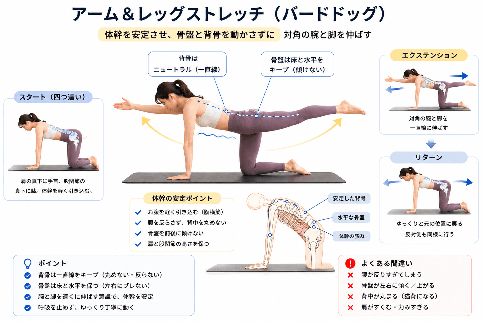 ピラティスの「アーム&レッグストレッチ」とは?対角連動で体幹を鍛えるコントロールエクササイズのフォームイメージ