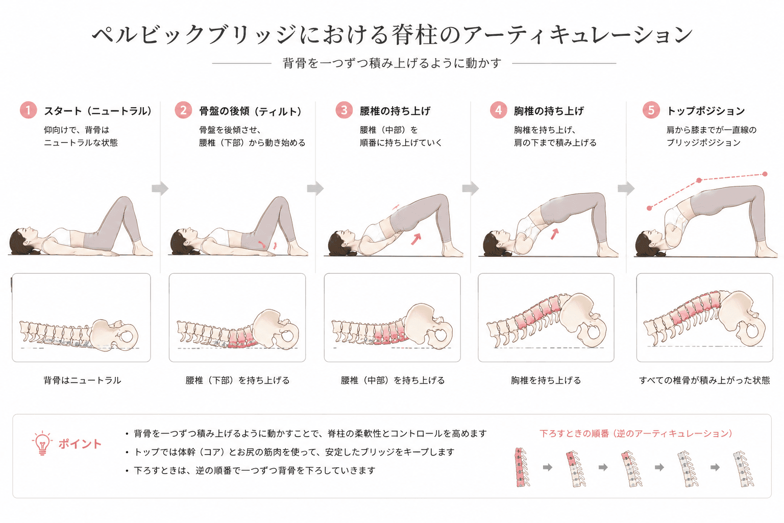 ピラティスの「ペルビック・ブリッジ」とは?骨盤と背骨を整える基本エクササイズのフォームイメージ