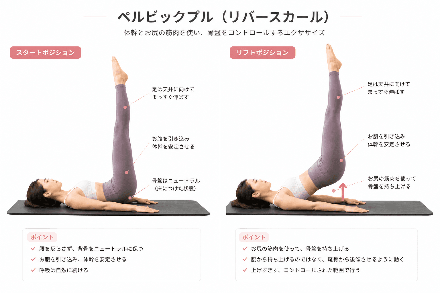 ピラティスの「ペルビック・プルレイズ」とは?体幹安定と下半身コントロールを高める応用エクササイズのイメージ