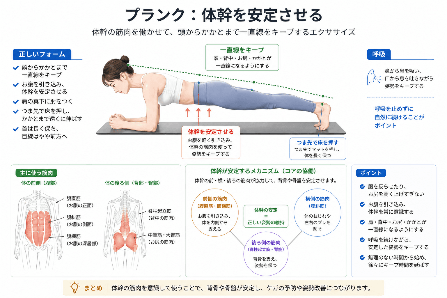 ピラティスの「プランクキープ」とは?全身の安定性を高める体幹トレーニングのフォームイメージ