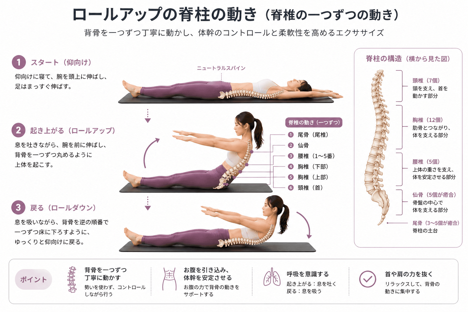 ピラティスの「ロールアップダウン」とは?背骨のコントロールと体幹強化を同時に高めるエクササイズのフォームイメージ