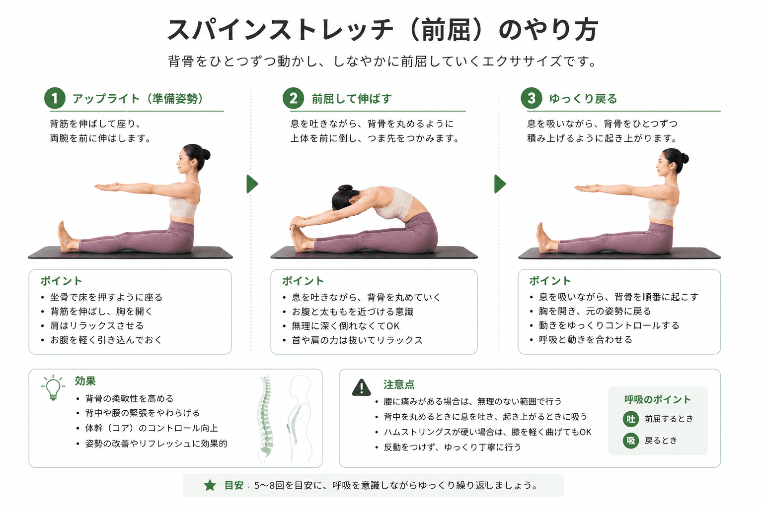 ピラティスの「スパイン・ストレッチ」とは?背骨の柔軟性と姿勢改善を高める基本エクササイズのイメージ