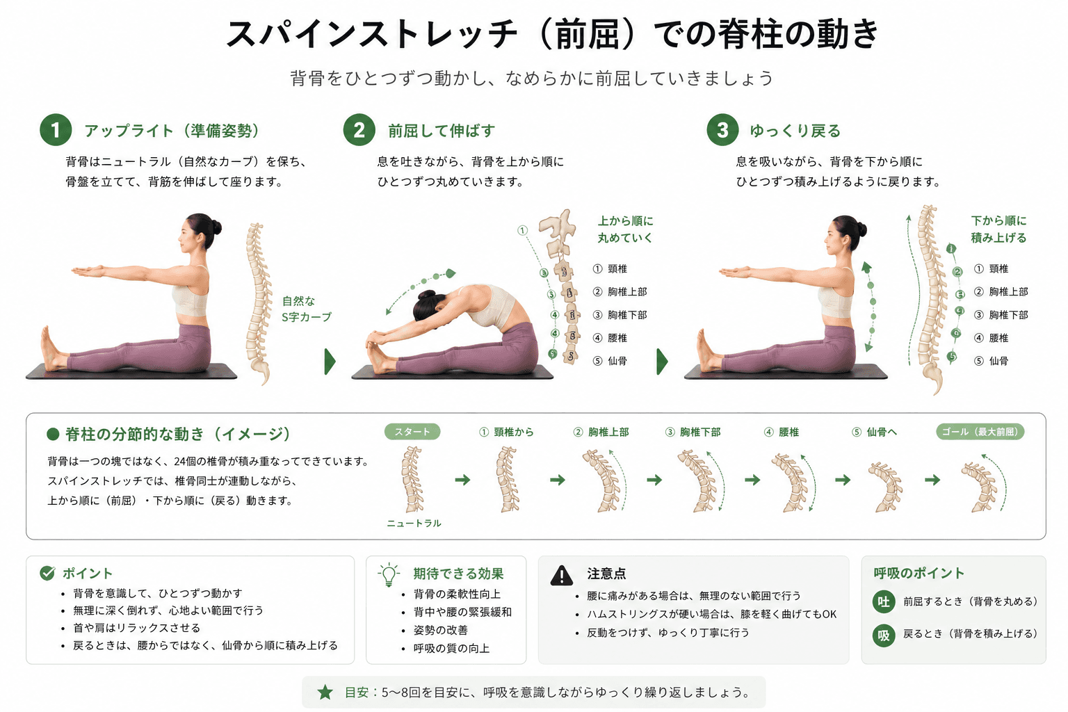 ピラティスの「スパイン・ストレッチ」とは?背骨の柔軟性と姿勢改善を高める基本エクササイズのフォームイメージ